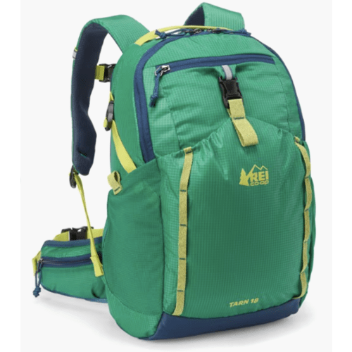 REI Co-op Tarn 18 Pack - Kids' | REI Co-op