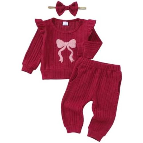 Toddler Baby Girl Fall Winter Clothes Long Sleeve Sweatsuit 3-24M