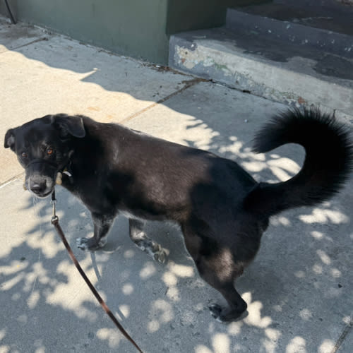 Winston’s Walk Fund