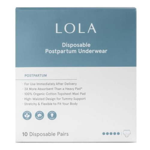 Postpartum Underwear with Organic Cotton Maxi Pad - 10ct