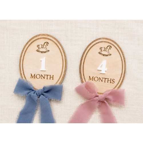 Rocking Horse Milestone Markers, Baby Monthly Photos, Rocking Horse Milestone Discs, Baby Photo Props, Birth Announcement Signs, Birth Stats