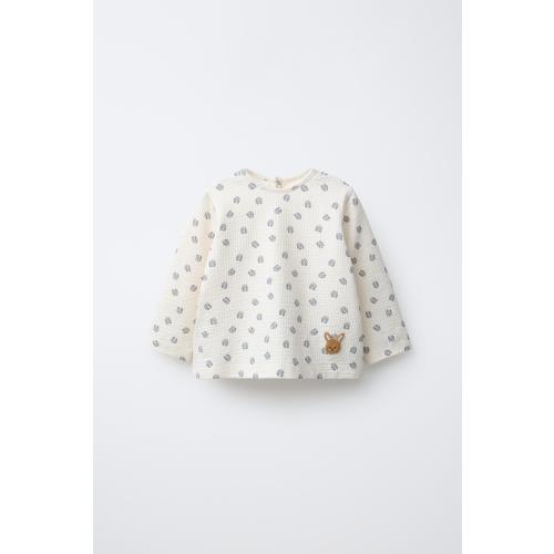 TEXTURED BUNNY T-SHIRT - Ecru | ZARA United States