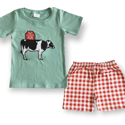 Boys embroidered short set