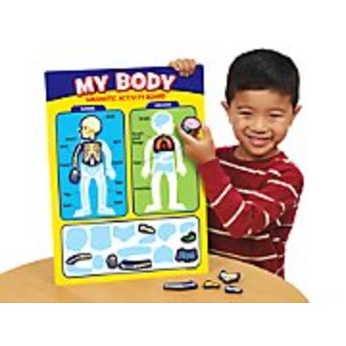 My Body Magnetic Activity Board