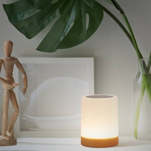 Globe Electric LED Integrated Rechargeable Portable Touch Lamp:USB, No Assembly Required