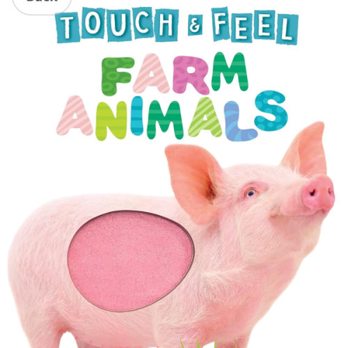 Touch and Feel Farm Animals - Novelty Book - Children's Board Book - Interactive Fun Child's Book