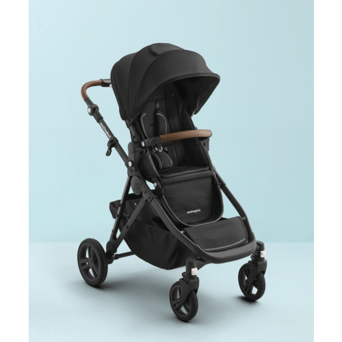 Single-to-Double Stroller 3.0