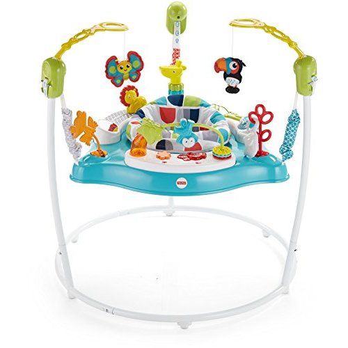 Fisher-Price Color Climbers Jumperoo