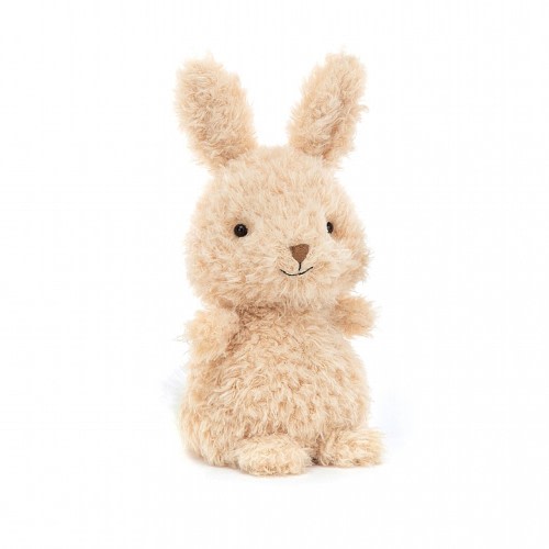 Little Bunny