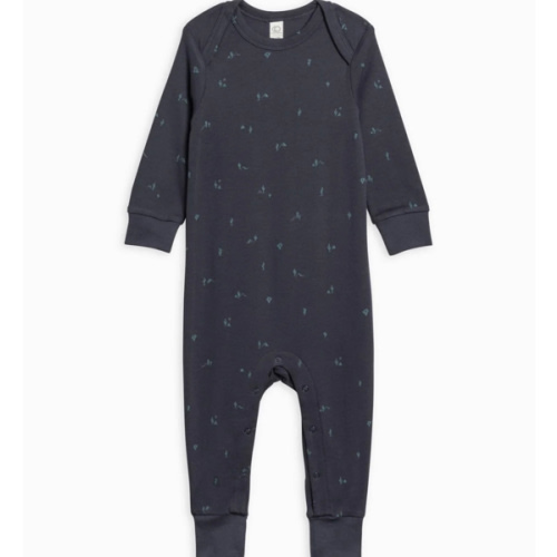 Organic Baby Aspen Romper - Cactus / Navy + Teal