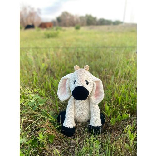 Buttermilk the Brahman Cow