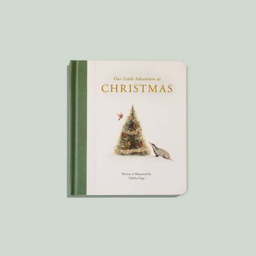 Our Little Adventure at Christmas (Baby's first Christmas)