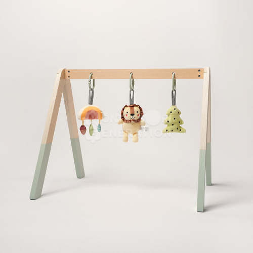 Montessori Play Gym - Your Baby’s First Playground!