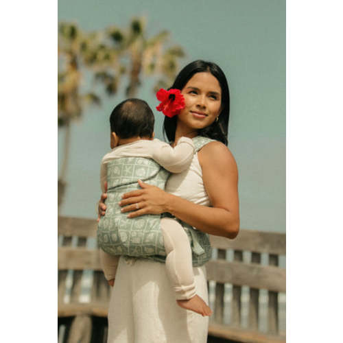 Coastal Aerial Carrier – WildBird