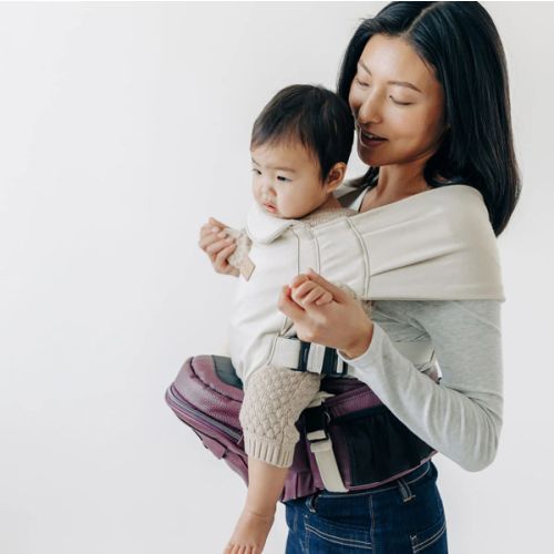 2-in-1 Convertible Carrier