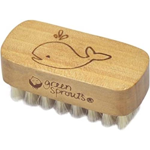 green sprouts Baby Nail Brush, Gently Cleans Baby’s Nails, Soft, Natural bristles for Comfort, Easy to Grasp Wood Handle, Made from Natural, Non-Petroleum Materials