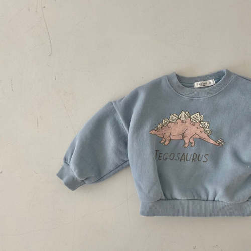 Dinosaur Sweatshirts – My B.