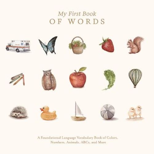 My First Book of Words - (Our Little Adventures) by  Tabitha Paige (Hardcover)