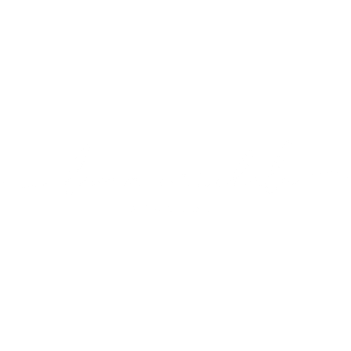 Dana Michele Studios