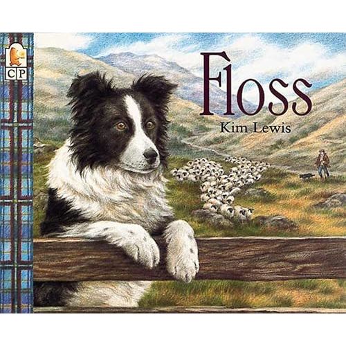Floss Paperback