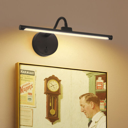 Ebern Designs 13.4" Dimmable LED Picture Light with 3 Colour Temperatures (3000K/4000K/5500K) & Reviews - Wayfair Canada