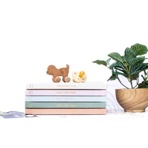 Baby’s First Year Memory Book: Birth to 12 month Milestone Journal & Photo Album-Dusty Rose
