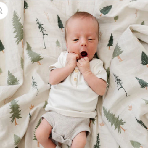 COTTON MUSLIN 2 PACK SWADDLES
