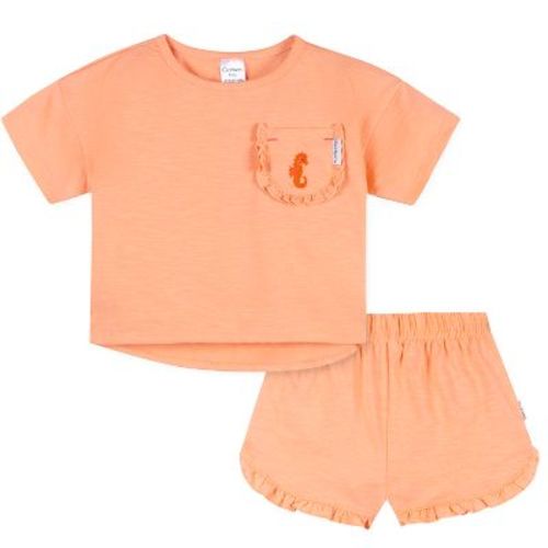 Gerber Baby Girls' Shirt and Short Set, 2-Piece, Peach, 12 Months