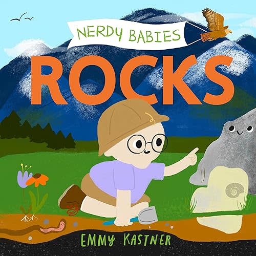 Nerdy Babies: Rocks Board book – Illustrated, May 5 2020