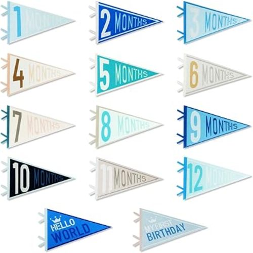 14 Pcs Baby Monthly Stage, Babys Felt Pennant Stage Signs Monthly, Felt Pennant Flags for Girl & Boy, Month Signs for Newborn Photos and First Year Birthday Baby Shower Decor
