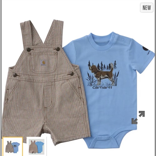 Boys' 2-Piece Short Sleeve Bodysuit & Brown Stripe Shortall Set (Baby) | New Kid's Clothing & Accessories | Carhartt