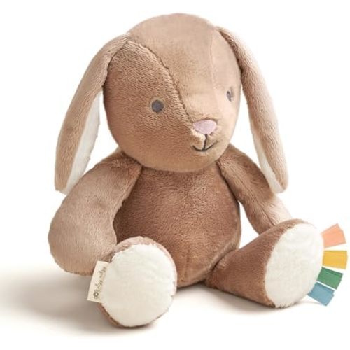 Itzy Ritzy Snuggles Plush Toy Soft Stuffed Animal for All Ages, Taupe Bunny