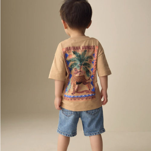 Buy Tan Cheetah Havana Sunset Short Sleeve Back Print T-Shirt (3mths-7yrs) from Next USA