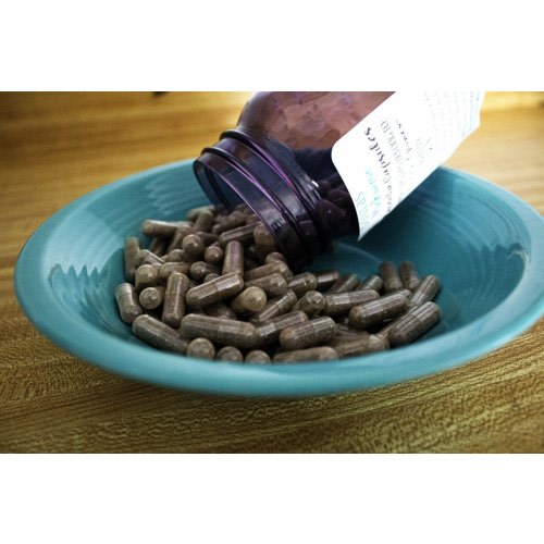 Placenta Encapsulation — Empowered Birth Doula