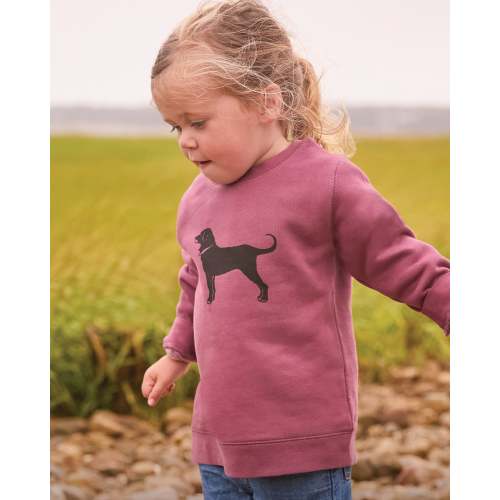 Lil Kids Classic Crewneck Sweatshirt – The Black Dog