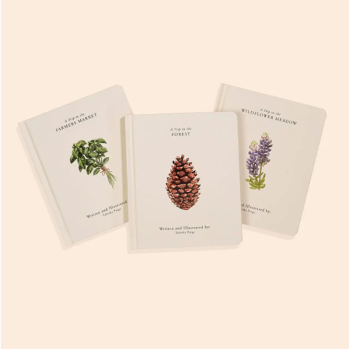 Our Little Adventures Book Box Set