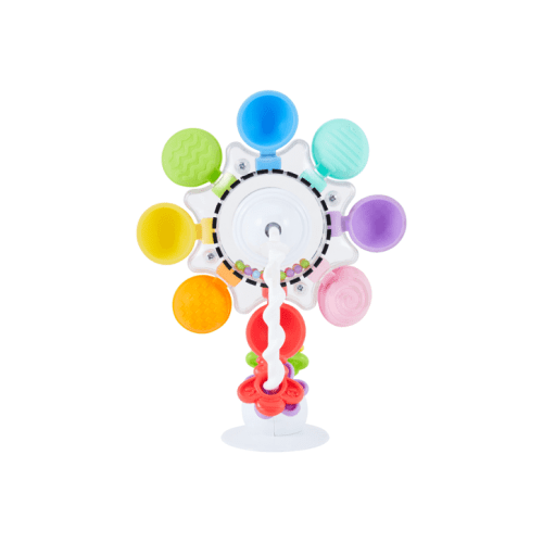 Sensory Ferris Wheel