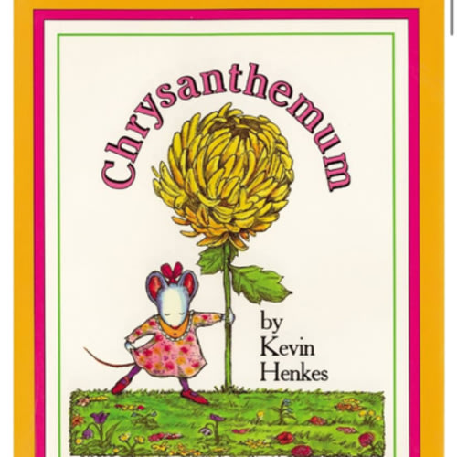 Chrysanthemum