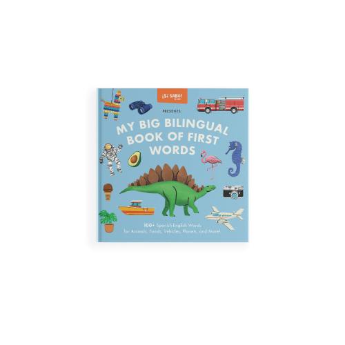 My Big Bilingual Book of First Words