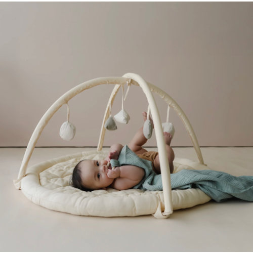 Play Gym