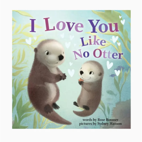 I Love You Like No Other Story Book