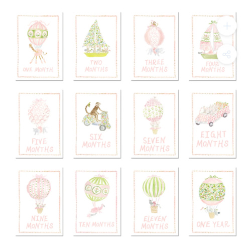 Baby Milestone Cards: Menagerie Pink Set