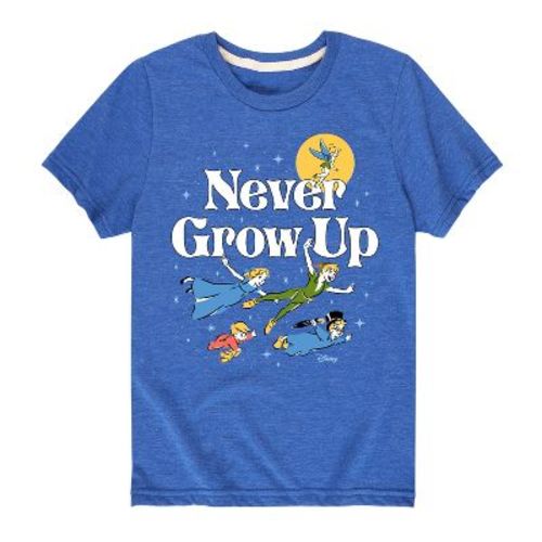 Boys' Disney Peter Pan Short Sleeve Graphic T-Shirt - Royal Blue - 2T
