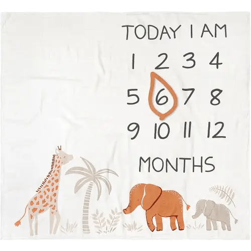 Modern Moments by Gerber Muslin Milestone Blanket with Felt Month Marker Frame