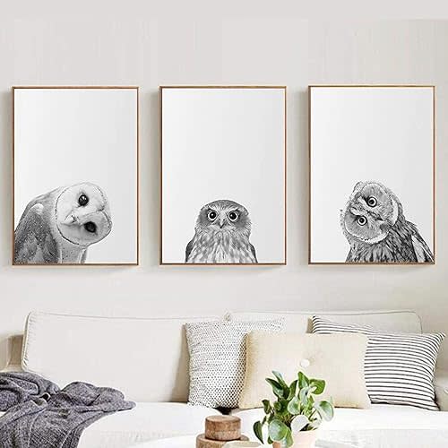 Owl Canvas Wall Art for Nursery Wild Animal Poster Black and White Owl Picture Funny Animal Canvas Prints Birds Black and White Wild Animal Wall Art Cute Owl Painting Bird Artwork 16x24inchx3 No Frame
