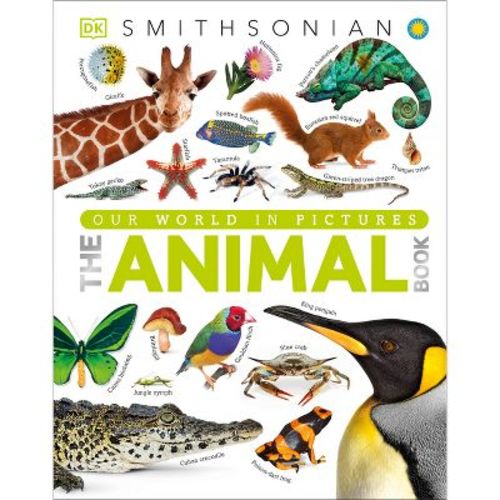 The Animal Book - (DK Our World in Pictures) by David Burnie (Hardcover)