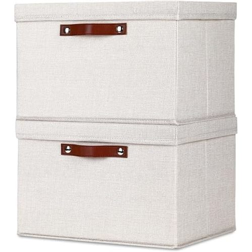 Temary Storage Bins with Lids 2-Pack Large Foldable Storage Baskets with Lid, Fabric Storage Bin for Organizing Home (Beige, 15x11x9.5inch)
