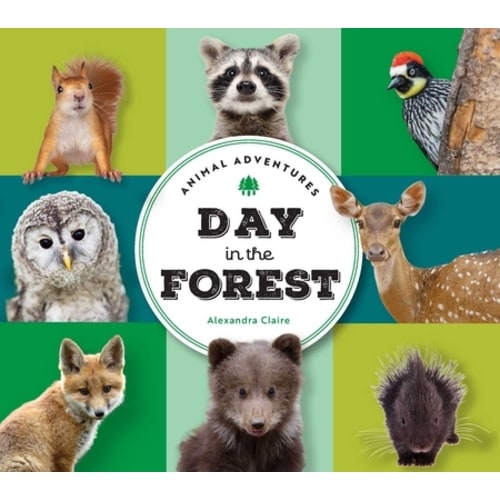 Animal Adventures: Day in the Forest | Wild Rumpus Books