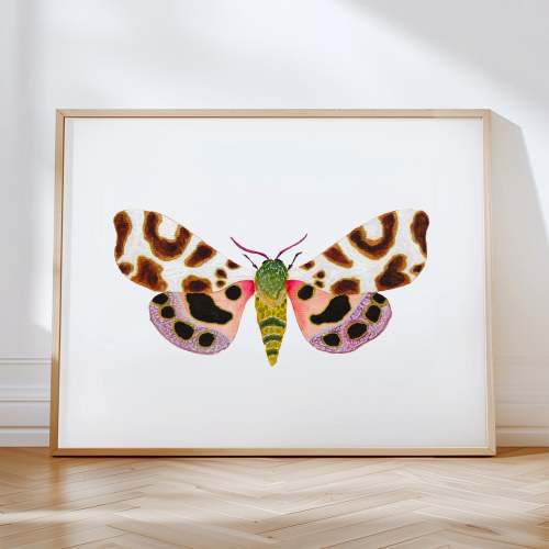 Moth No. 19 - 11x14 - Natural Oak Frame