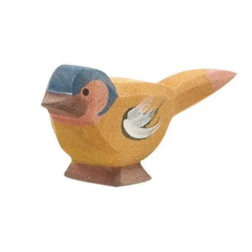 Ostheimer Chaffinch Bird